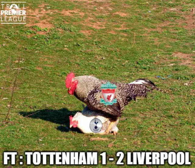 河南人士：队员们对决赛信心十足，预计现场60%是河南球迷